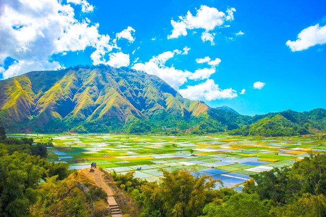Lombok: Exclusive Sendang Gile, Tiu Kelep & Selong Hill Tour - A full day around Mount Rinjani’s waterfalls