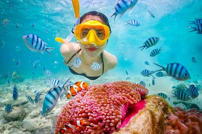 Lombok Pink Beach Boat Trip (Full Day + Snorkeling) - Gili Petelu brings the best water time