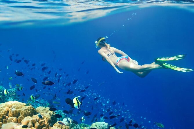 Lombok Pink Beach Boat Trip (Full Day + Snorkeling) - Gili Gambir adds a quieter beach stop