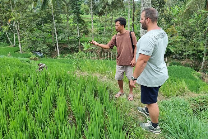 Lombok Private Customize Tour - Waterfalls, rice fields, and the island interior