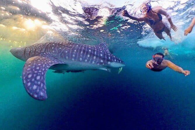 Lombok Private Tour-Car Hire With Full day Customize Trip - Sendang Gile and Tiu Kelep near the rainforest