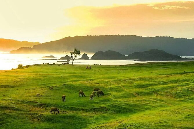 Lombok Tour For Cruise Passangers - Banyumulek: pottery, technique, and the shopping question