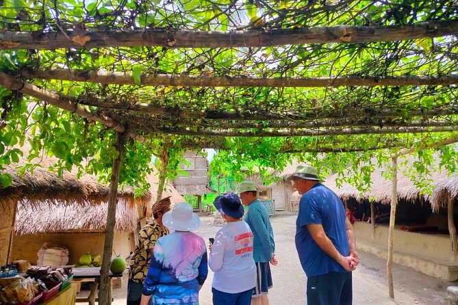 Lombok Tour For Cruise Passangers - What the $95 price really covers