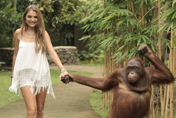 Lombok Wildlife Park Ticket - The elephant activities and what they add