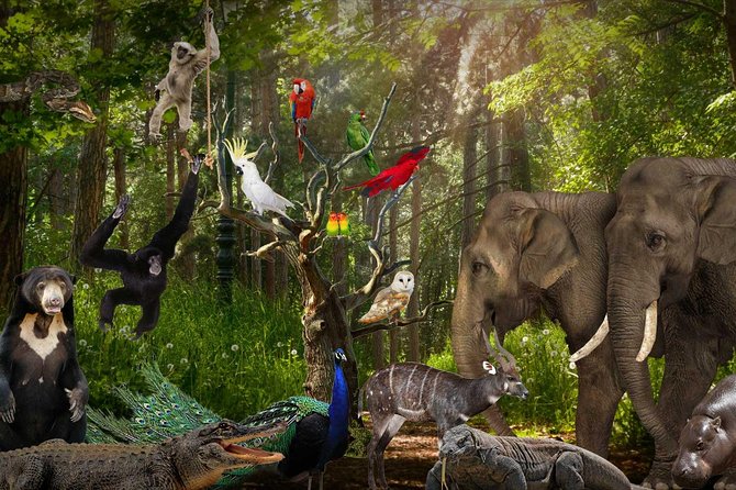 Lombok Wildlife Park Ticket - The three-course lunch and the two places to eat