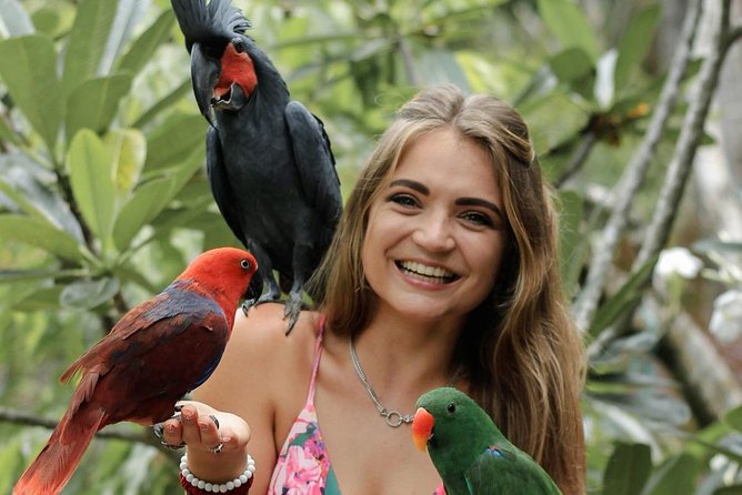 Lombok Wildlife Park Ticket - Is $39 good value for Lombok?
