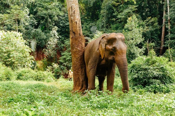 Lombok Wildlife Park Ticket - Starting at the park on Jalan Raya Tanjung Sire