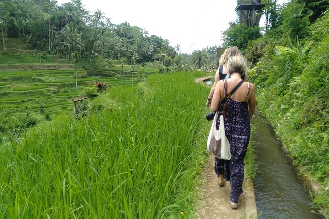 Magic Of Ubud Temple Swing And Waterfall Private Guided Tour - Ulu Petanu Waterfall beside the Petanu River