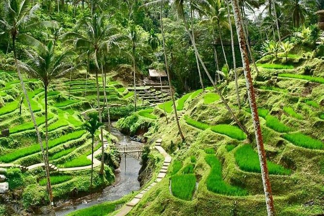 Magic Of Ubud Temple Swing And Waterfall Private Guided Tour - Sacred Monkey Forest Sanctuary