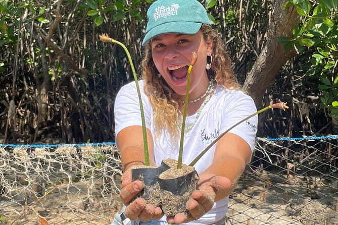 Mangrove Reforestation and Exploration around the Nusa Islands - Starting at Mangrove Point on Nusa Lembongan