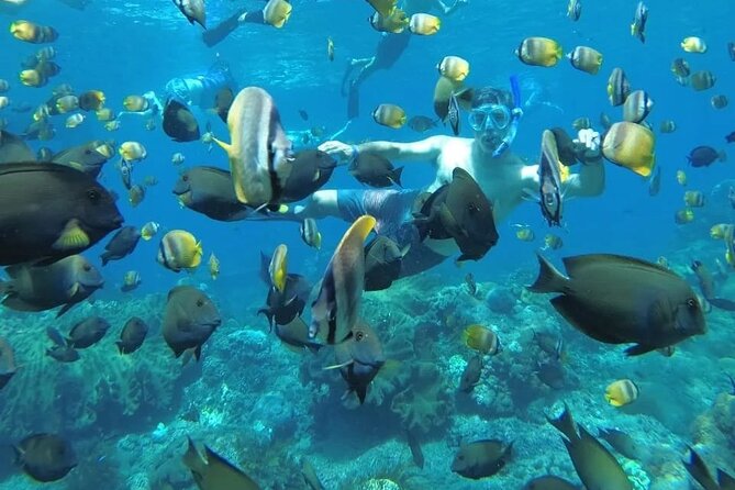 Manta Bay Snorkeling Adventure with Kelingking Beach Nusa Penida All Inclusive - A full day built around sea and cliffs