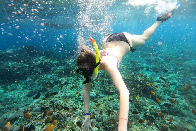 Manta Bay Snorkeling Adventure with Kelingking Beach Nusa Penida All Inclusive - Crossing from Sanur to Nusa Penida