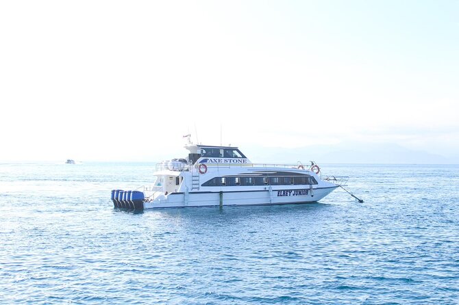 Manta Bay Snorkeling Adventure with Kelingking Beach Nusa Penida All Inclusive - Who should book this day