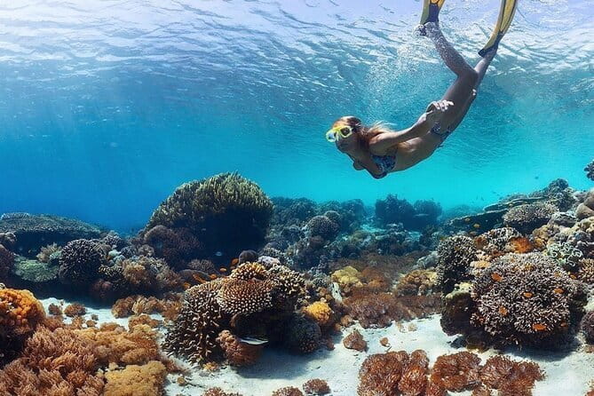 Manta Point Snorkeling & West Nusa Penida Island Day Tour - What this Nusa Penida day actually feels like