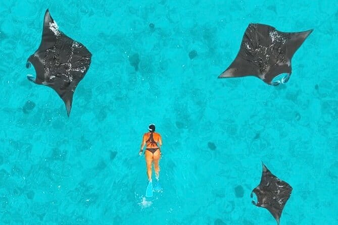 Manta Point Snorkeling & West Nusa Penida Island Day Tour - Gamat Bay for fish, coral, and a second swim