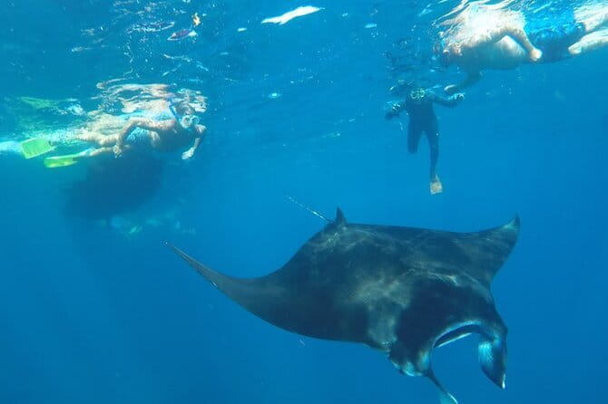 Manta Point Snorkeling & West Nusa Penida Island Day Tour - Kelingking Beach and the island’s big views