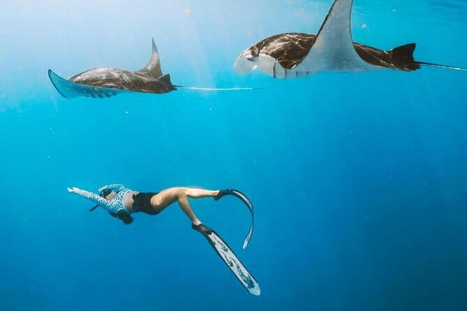 Manta Point Snorkeling & West Nusa Penida Island Day Tour - Manta Point, where the day earns its name