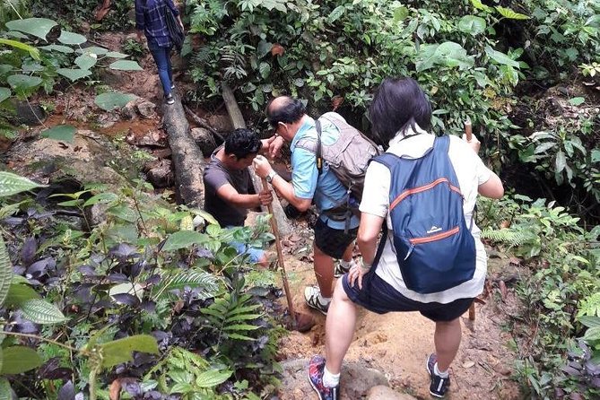 Medan - Bukit Lawang Fullday Tour - Leaving Medan early for Bukit Lawang