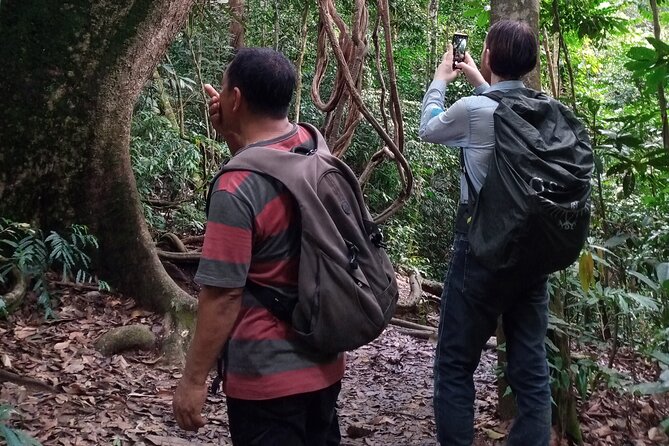 Medan - Bukit Lawang Fullday Tour - Lunch, fruit, and a needed break in the forest