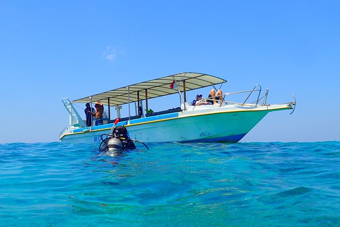 Menjangan island for Certified Scuba Divers full day boat trip, 2 dives + lunch - Menjangan Island, Bali’s wall-country classic