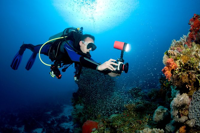Menjangan island for Certified Scuba Divers full day boat trip, 2 dives + lunch - Snorkeling support for mixed groups