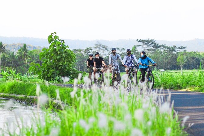 Menoreh Village Cycling - How the $22 price measures up