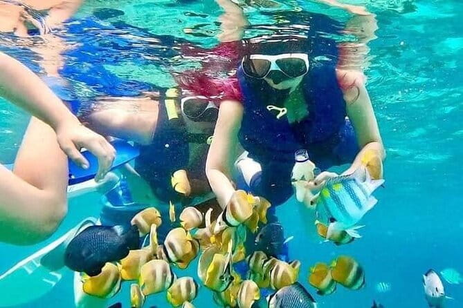 Monkey Bar and snorkling adventure at blue lagoon. - What two hours in the water really means