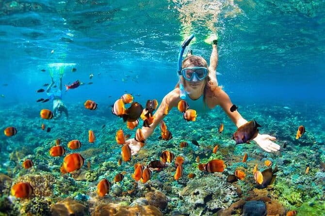 Monkey Bar and snorkling adventure at blue lagoon. - Transport and timing from Seminyak