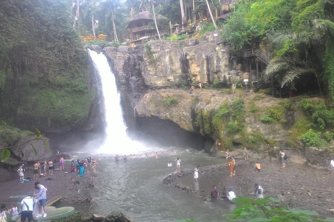 Monkey Forest, Ubud, Waterfall and Rice Terrace - Uma Pakel Agro Tourism and civet coffee