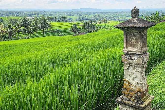 More Complete: Discover Bali In 3 Days Private Tour Package - What the $223.99 price includes