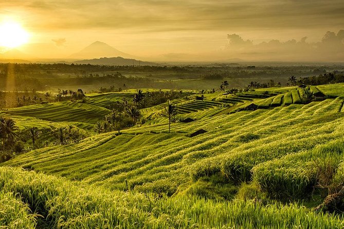 More Complete: Discover Bali In 3 Days Private Tour Package - Who should book this Bali tour?