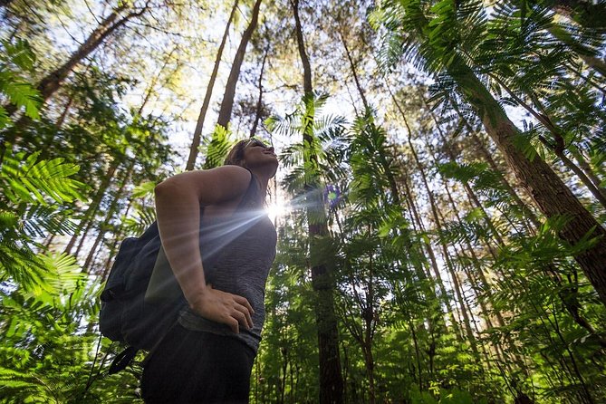 Mount Batur Sunrise Hike with Breakfast - Who should book this climb