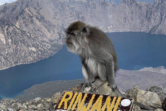 Mount Rinjani 2D 1N trekking to summit - Guides, porters, and the human side of the climb