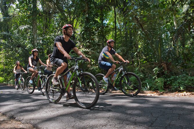 Mountain Cycling Tour - Rice fields, villages, and everyday Balinese life