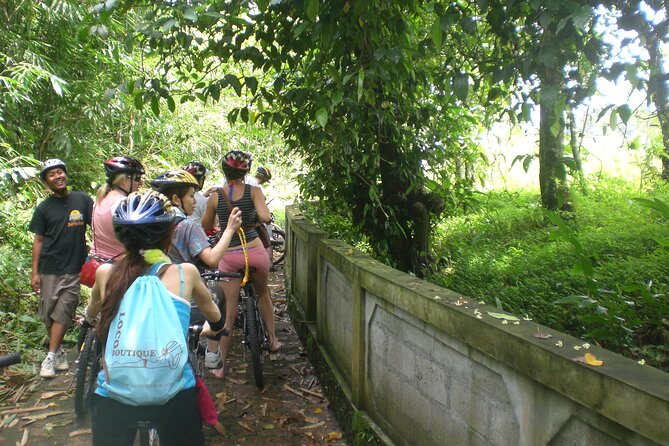 Mountain Cycling Tour - A gentle downhill route, with limits