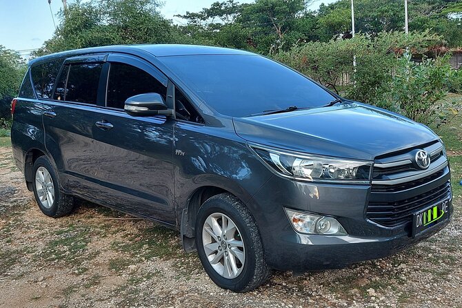 Ngurah Rai International Airport Private Arrival Transfer - Why the flight number is the most important booking detail