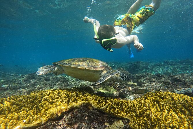 No:#1. Penida Island Tour And Snorkeling With Manta - Who should book this Nusa Penida outing?