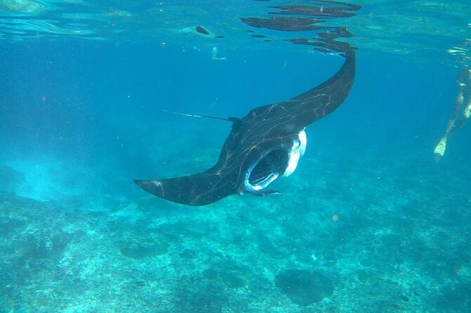 No:#1. Penida Island Tour And Snorkeling With Manta - Should you book it?