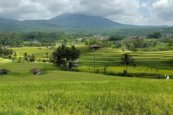 North Bali Nature Escape Rice Terraces, Temples & Waterfall - Banyumala Twin Waterfall requires some effort
