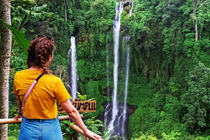 North Bali: Sekumpul Waterfalls and Ulun Danu Temple Tour - How the group format affects your day