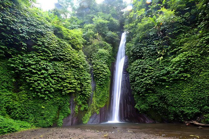 North Bali Tour - Visiting Rice Terrace, Lake, Waterfall, Temple and Hot Spring - Tamblingan Lake and the highland road