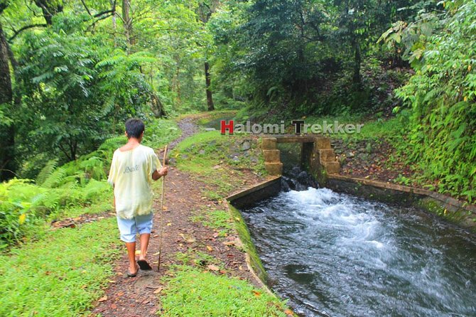 North Lombok Waterfalls - Starting at 8:00 am in Senaru