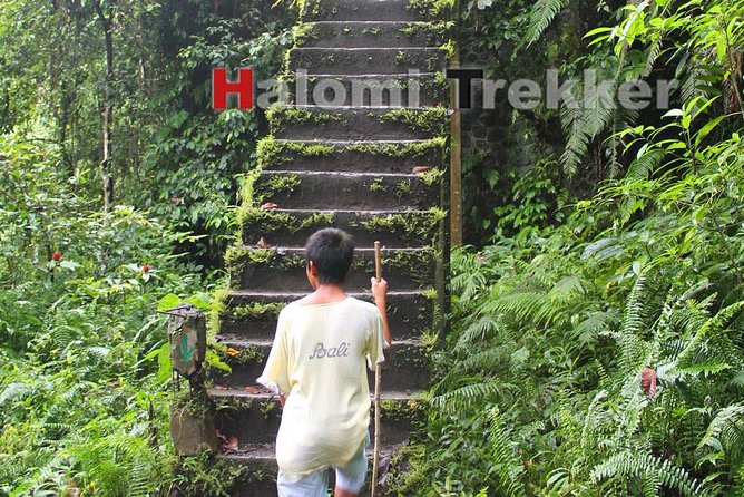 North Lombok Waterfalls - Masjid Bayan Beleq brings in local history