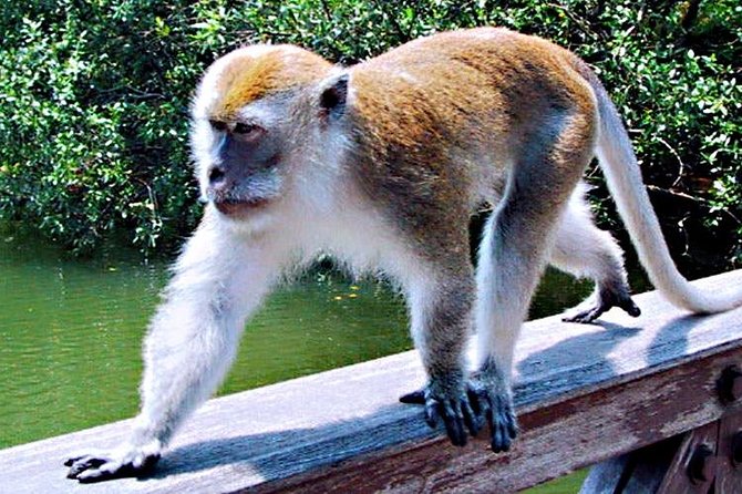 Northern Bintan Full Day Tour - Sand dunes and Blue Lake at 1:30 p.m.