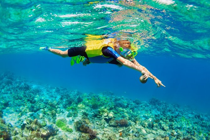 Nusa Lembongan Island: Snorkeling & Mangrove Forest Day Tour - Coral reef snorkeling and the optional SUP upgrade