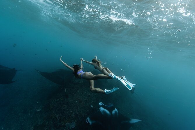 ️Nusa Penida by Private Boat - Snorkeling 4 spots, Swim with Mantas + Land Tour - Key things to know before booking