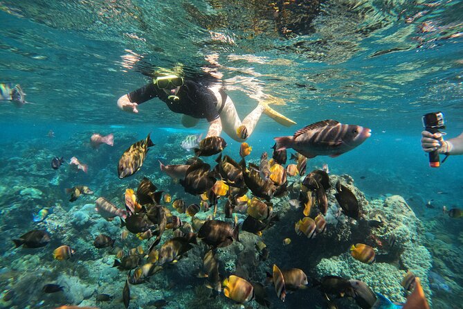 Nusa-Penida customize Tour - All inclusive - Lunch in the middle of a long day