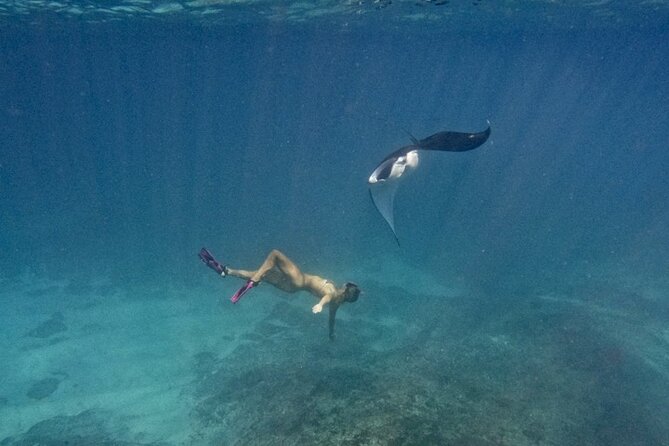 Nusa Penida day trip: boat, 4 snorkeling, Manta rays & Land tour - Four snorkel stops in one tightly planned day