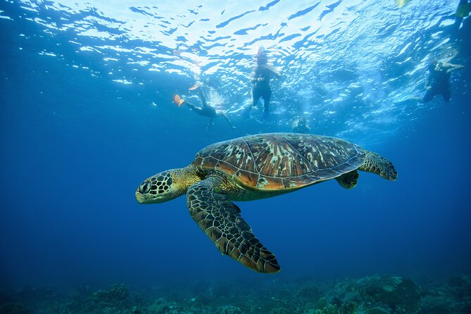 Nusa Penida day trip: boat, 4 snorkeling, Manta rays & Land tour - Kelingking Beach gives the day a famous postcard view