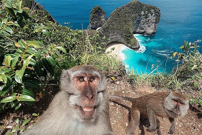 Nusa Penida day trip: boat, 4 snorkeling, Manta rays & Land tour - A few practical ways to make the day better